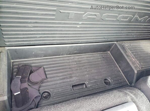 3TYJDAHN6RT011050 2024 TOYOTA TACOMA Белый Вид задних сидений