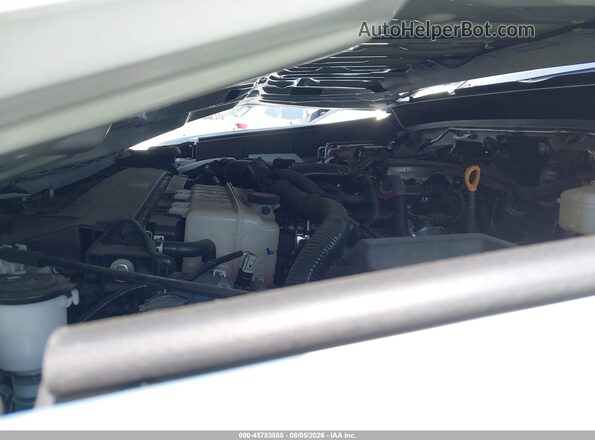 3TYJDAHN6ST021826 2025 TOYOTA TACOMA White Հետևի տեսք