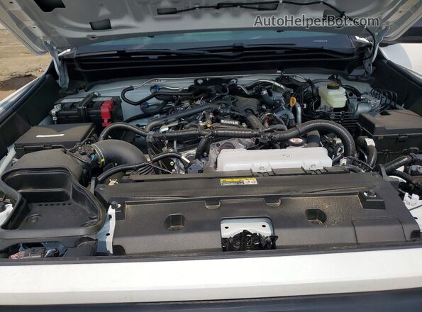 3TYJDAHN9TT048794 2026 TOYOTA TACOMA Белый Вид задней части салона