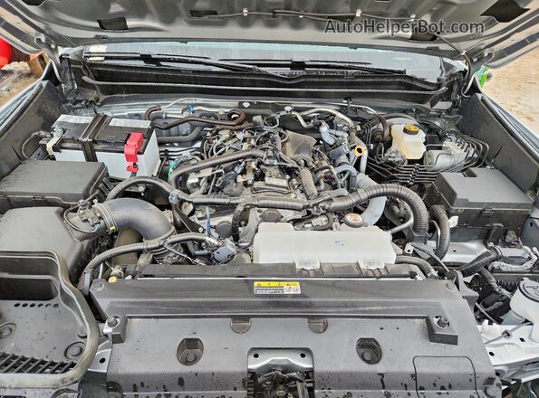3TYKB5FN4ST029900 2025 TOYOTA TACOMA Silver უკანა სალონის ხედი