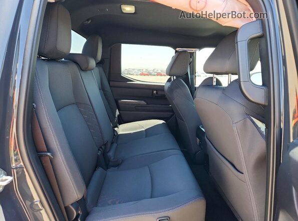 3TYKB5FNXST024779 2025 TOYOTA TACOMA Gray Vista de los asientos traseros
