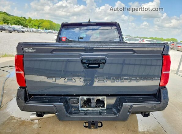 3TYKD5HN0ST023955 2025 TOYOTA TACOMA Gray Вид ззаду