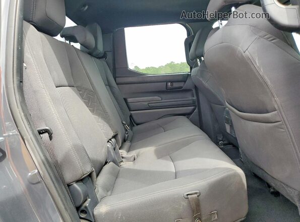 3TYLB5JN3RT053496 2024 TOYOTA TACOMA Gray Vista de los asientos traseros