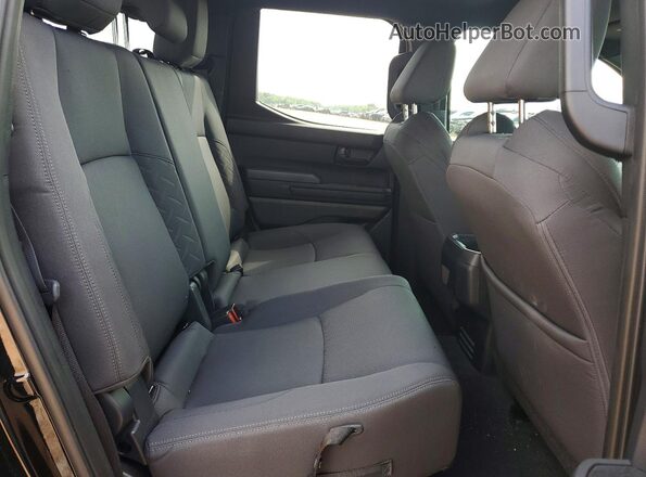 3TYLB5JN5RT058635 2024 TOYOTA TACOMA Черный Вид задних сидений