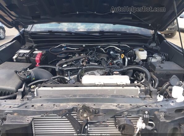 3TYLD5KN9RT004716 2024 TOYOTA TACOMA Gray Rear view