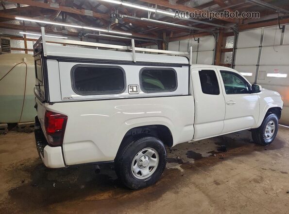 3TYRX5GN0MT008043 2021 TOYOTA TACOMA White Задня права чверть