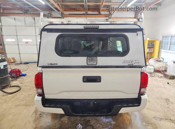3TYRX5GN0MT008043 2021 TOYOTA TACOMA White Вид ззаду