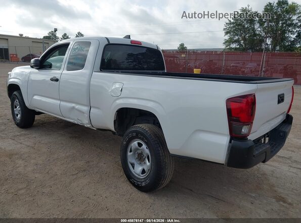 3TYRX5GN0PT080123 2023 TOYOTA TACOMA White Tył lewy