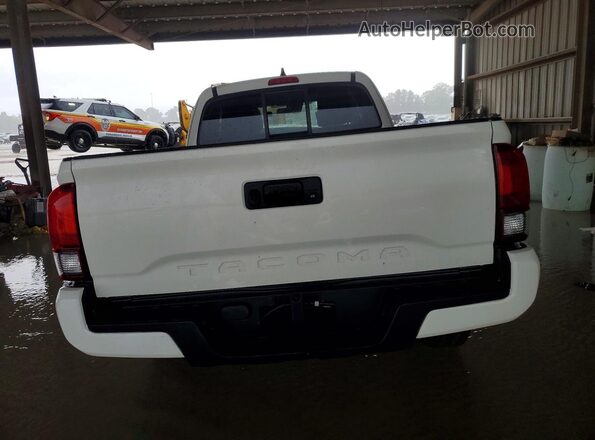 3TYRX5GN5MT025825 2021 TOYOTA TACOMA White Հետևի տեսք
