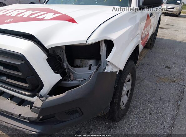 3TYRX5GN7PT078594 2023 TOYOTA TACOMA White Widok tylnych siedzeń