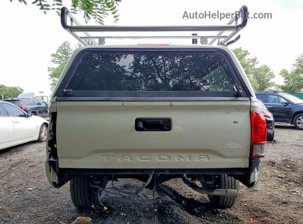3TYRX5GN8PT072545 2023 TOYOTA TACOMA White Rear view