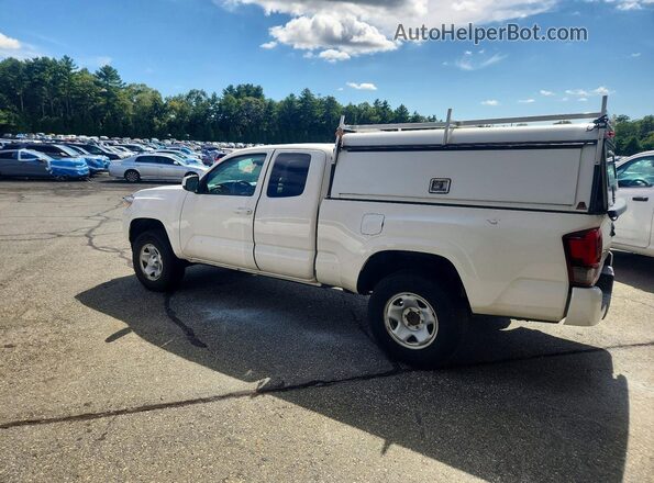 3TYRX5GNXMT026534 2021 TOYOTA TACOMA White Trasero izquierdo