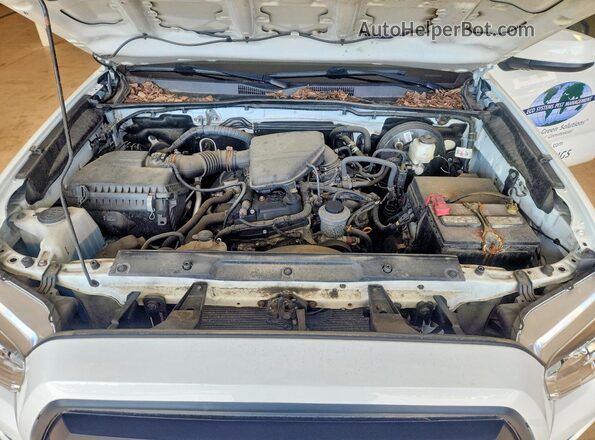 3TYRX5GNXMT026534 2021 TOYOTA TACOMA White Vista interior trasera