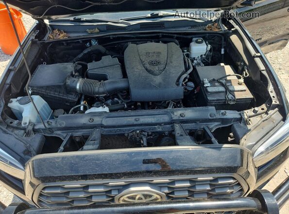 3TYSZ5AN8PT136779 2023 TOYOTA TACOMA Черный Вид задней части салона