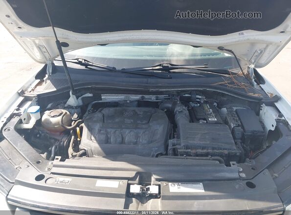 3VV1B7AX8KM042243 2019 VOLKSWAGEN TIGUAN White Widok z tyłu