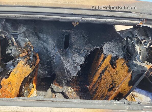 3VV1B7AX8MM080719 2021 VOLKSWAGEN TIGUAN Burn უკანა სალონის ხედი