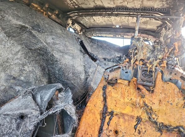 3VV1B7AX8MM080719 2021 VOLKSWAGEN TIGUAN Burn უკანა სავარძლების ხედი