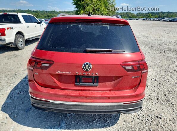 3VV2B7AX2NM125269 2022 VOLKSWAGEN TIGUAN Красный Вид сзади