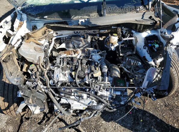 3VVER7RM7TM080412 2026 VOLKSWAGEN TIGUAN White უკანა სალონის ხედი