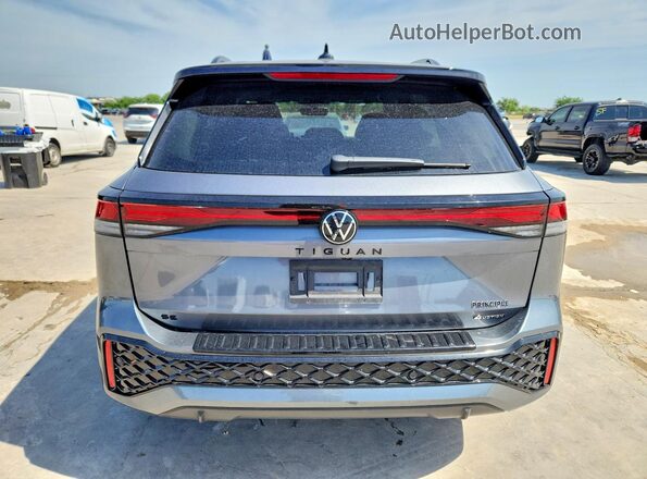 3VVGR7RM1SM028703 2025 VOLKSWAGEN TIGUAN Gray Vista trasera