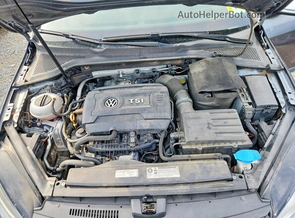 3VWH17AU0HM528136 2017 VOLKSWAGEN GOLF Gray უკანა სალონის ხედი