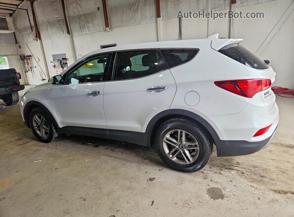 5XYZTDLB9HG441487 2017 HYUNDAI SANTA White Tył prawy