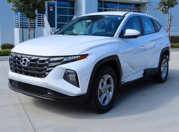 5NMJACDE5RH323076 2024 HYUNDAI TUCSON Белый Задняя правая четверть