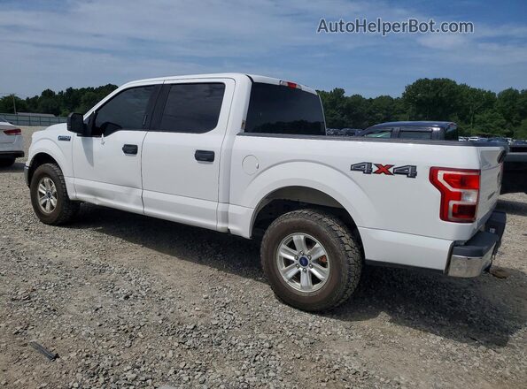 1FTEW1E50KFB18533 2019 FORD F150 White Trasero derecho