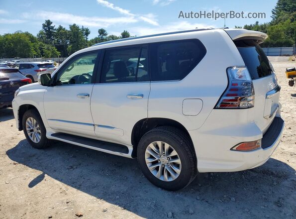 JTJBM7FX7H5180065 2017 LEXUS GX Белый Задняя правая четверть