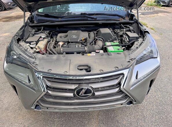 JTJBARBZ5G2095978 2016 LEXUS NX Серый Вид салона спереди