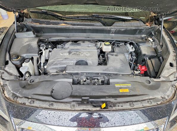 5N1DL0MM8KC565356 2019 INFINITI QX60 Black Widok naklejki z numerem VIN