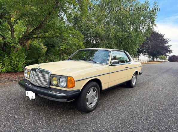 12305312008767 1978 MERCEDES-BENZ 280-CLASS Beige უკანა მარჯვენა