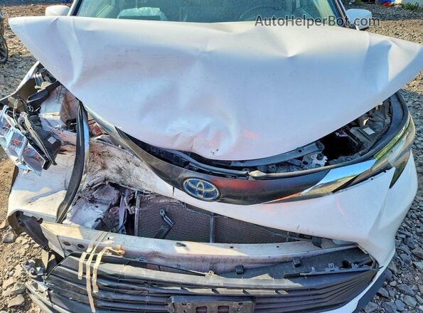 5TDKRKEC5NS128123 2022 TOYOTA SIENNA White VIN sticker view