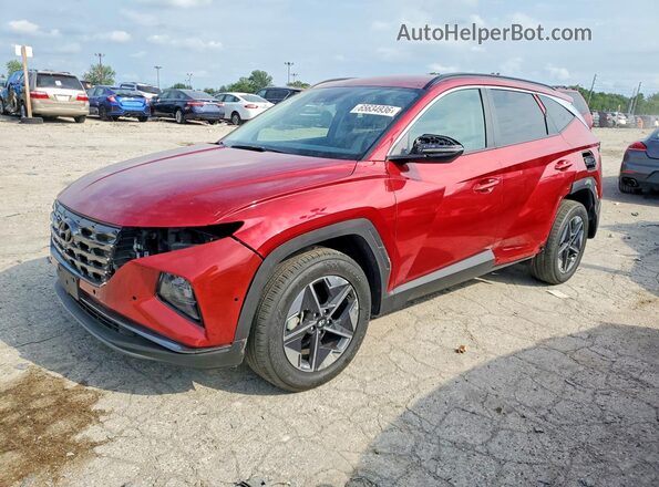 5NMJBCDE3SH516703 2025 HYUNDAI TUCSON Red Հետևի ձախ
