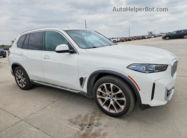 5UX43EU06S9X96024 2025 BMW X5 White Widok z przodu