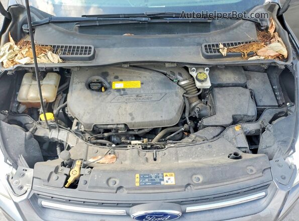 1FMCU0GX9GUB75902 2016 FORD ESCAPE Gray VIN კოდის სტიკერის ხედი