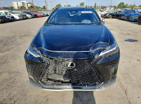 2T2KGCEZ5SC064035 2025 LEXUS NX Черный Вид сзади