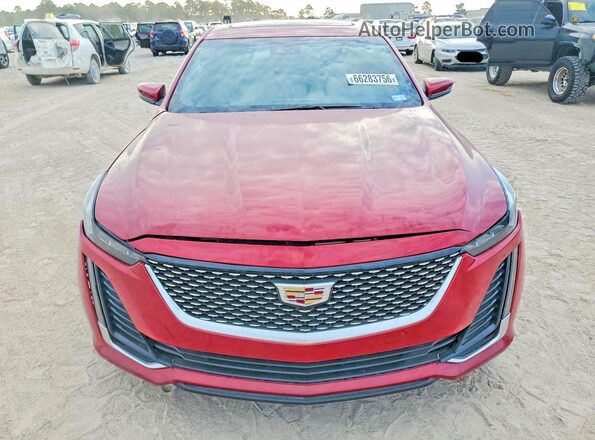 1G6DW5RK9P0117106 2023 CADILLAC CT5 Красный Вид сзади