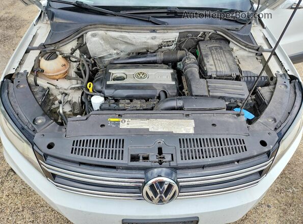 WVGBV7AX9GW591737 2016 VOLKSWAGEN TIGUAN Белый Вид наклейки с VIN-кодом