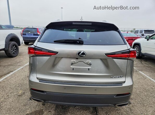 JTJBARBZ7K2199946 2019 LEXUS NX Silver Սալոնի դիմացի տեսք