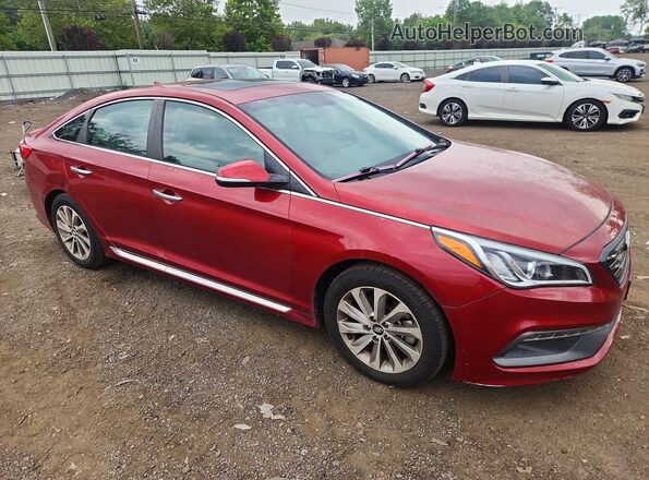 5NPE34AF8GH426829 2016 HYUNDAI SONATA Красный Вид спереди