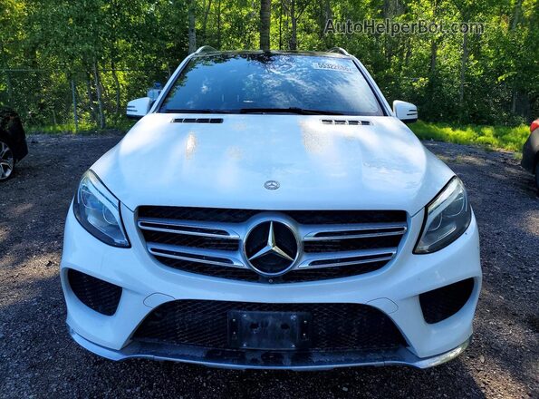 4JGDA2EB9GA761226 2016 MERCEDES-BENZ GLE White Front view