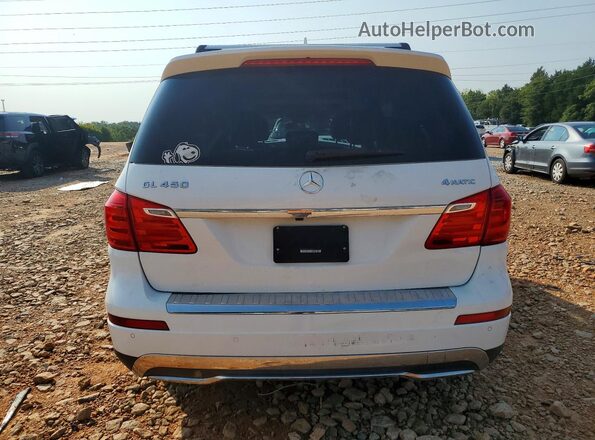 4JGDF6EE9GA645043 2016 MERCEDES-BENZ GL-CLASS Белый Вид сзади