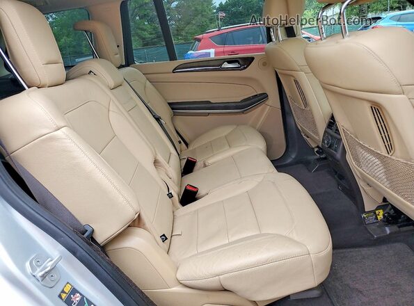 4JGDF7DE1HA805697 2017 MERCEDES-BENZ GLS Silver Widok tylnych siedzeń