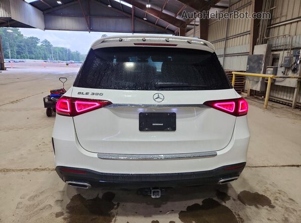 4JGFB4JB9PA895144 2023 MERCEDES-BENZ GLE White Widok z tyłu
