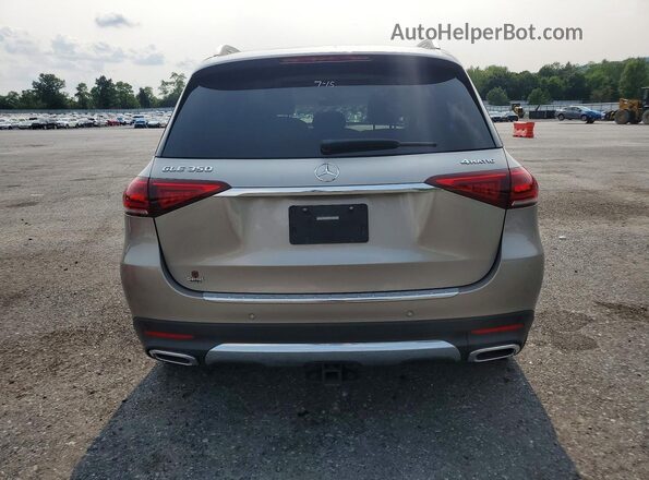 4JGFB4KB1LA156052 2020 MERCEDES-BENZ GLE Серебряный Вид сзади