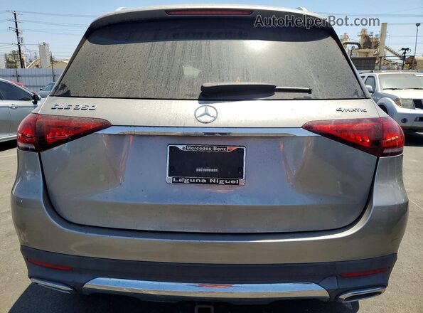 4JGFB4KB8LA012837 2020 MERCEDES-BENZ GLE Silver Вид ззаду
