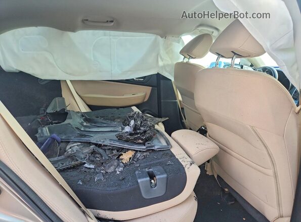 4S4BSAFC7K3246809 2019 SUBARU OUTBACK Tan Սալոնի հետևի տեսք