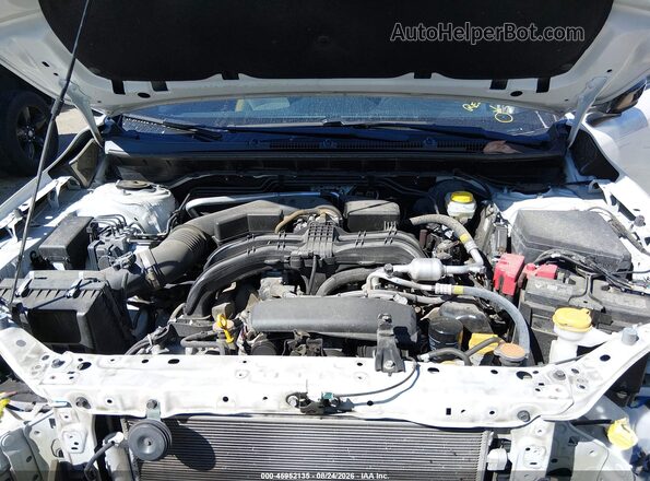 4S4GUHF6XR3813043 2024 SUBARU CROSSTREK Белый Вид сзади
