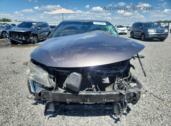 4T1BF1FK0HU769507 2017 TOYOTA CAMRY Серый Вид спереди